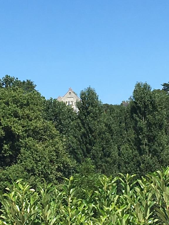 Apartamento Les Terrasses De Chaumont 1 Montsoreau Exterior foto